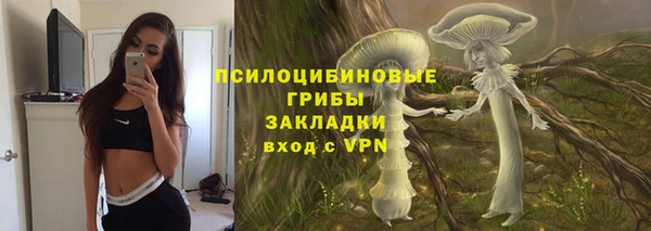 прущая мука Алзамай