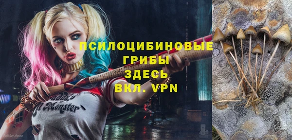 PSILOCYBIN Алексеевка