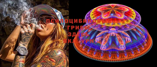 PSILOCYBIN Алексеевка
