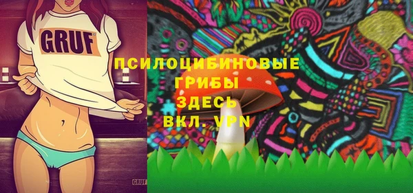прущая мука Алзамай