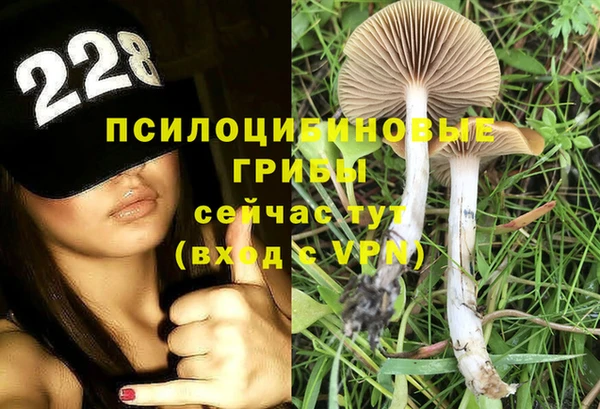 PSILOCYBIN Алексеевка