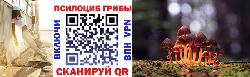 Псилоцибиновые грибы Psilocybine cubensis  цены   гидра ссылки  Сочи 
